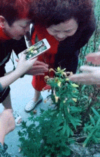 爆笑GIF趣图:找个女朋友容易吗?还给硬生生分开!