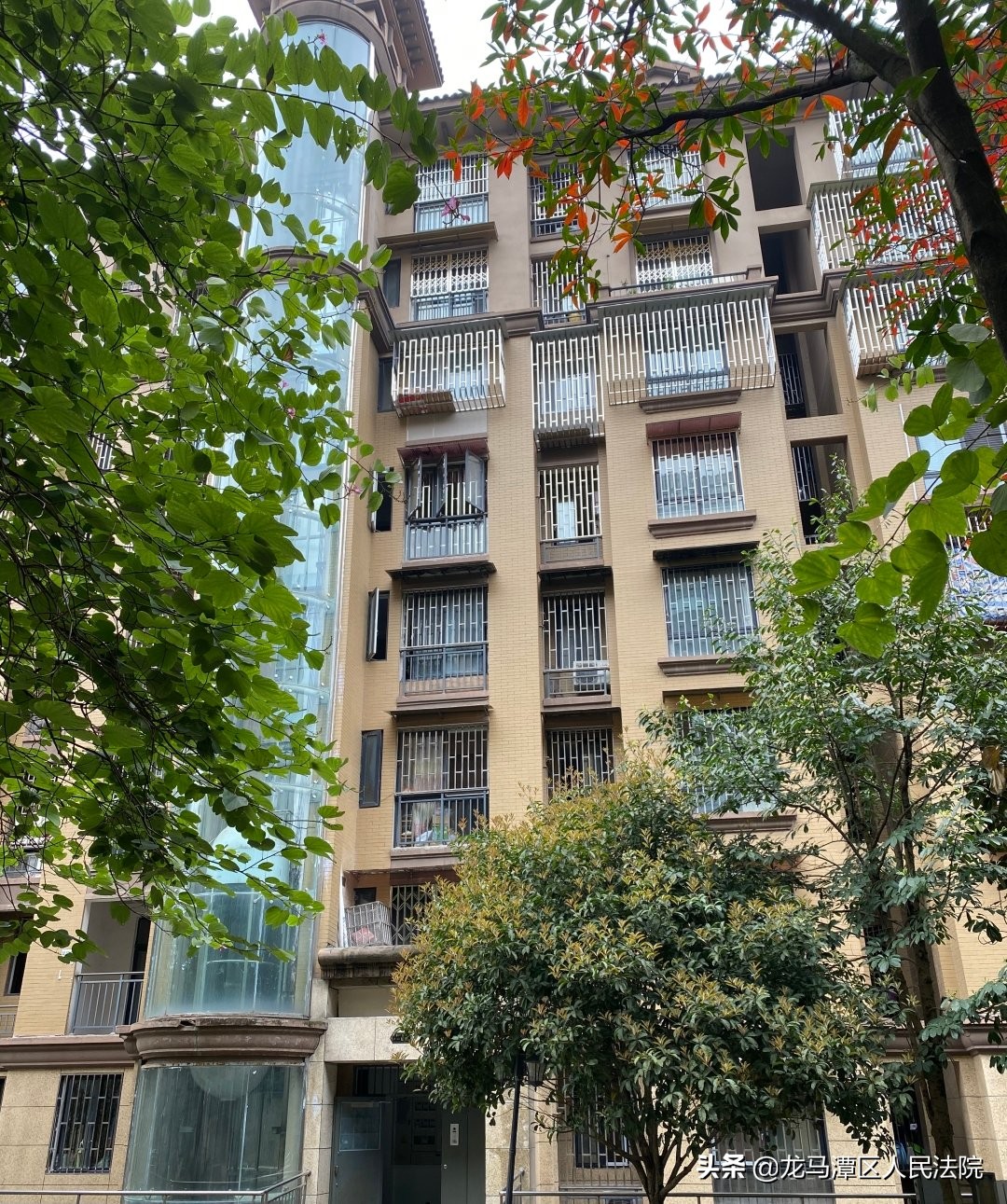 龙马潭法院：2020年春夏系列，酷炫开售！赶快来拍下你心中所爱吧！