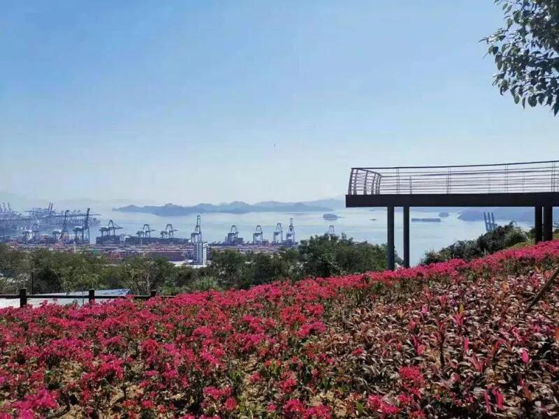 深圳十大免费少人知可以观海的公园