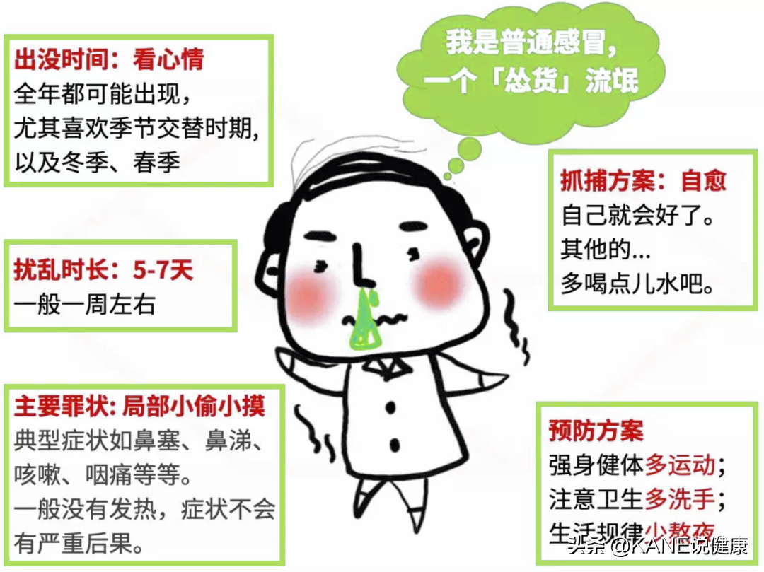 感冒了要不要吃药？一篇文章告诉你