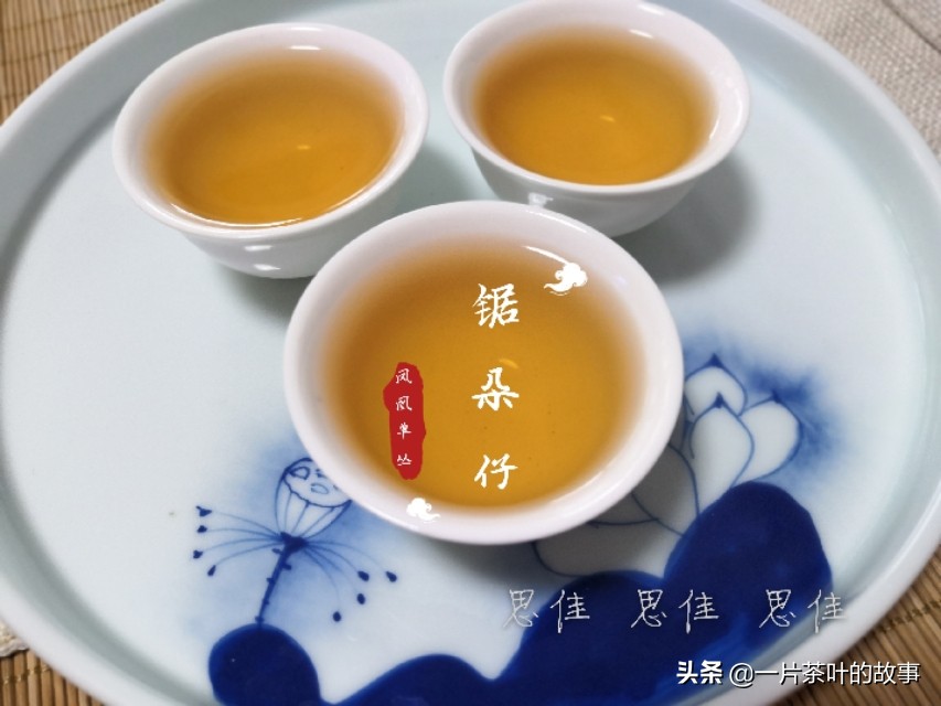 凤凰单丛茶是属于什么茶（一分钟全方位了解凤凰单丛）