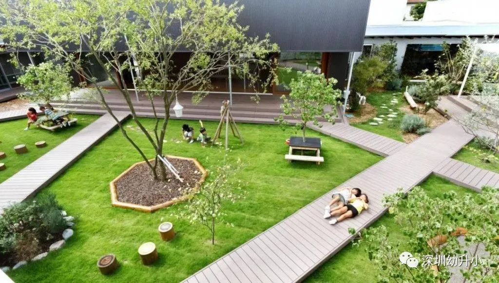 深圳这所网红公办学校，每位学生配备博士导师！今年9月正式开学