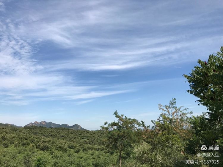 夏日登山汗如泉