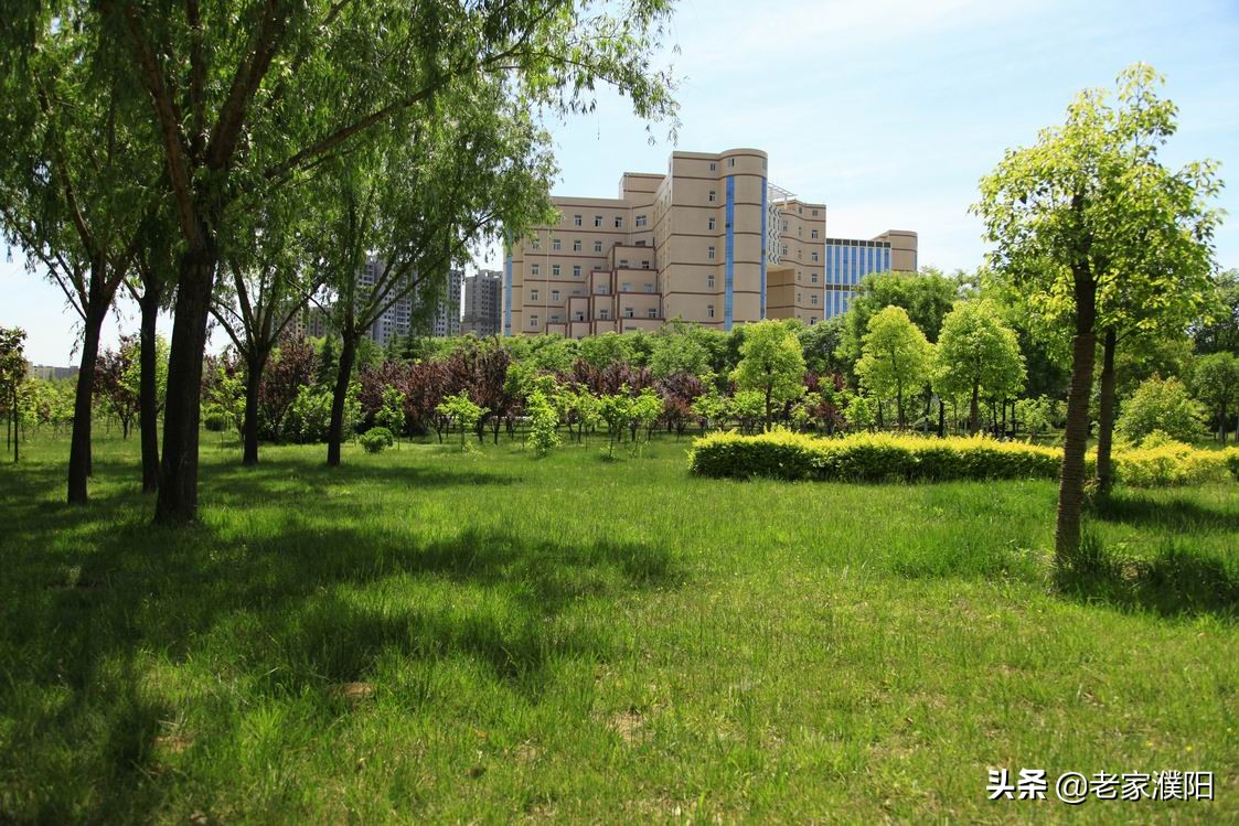 河南工程学院和河南工学院，一字之差，相差93公里，你知道吗？