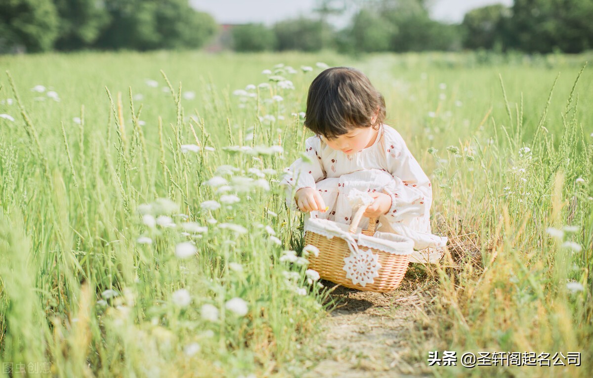 最有内涵的名字(2021宝宝起名取名 寓意一生福寿安康的男孩女孩名字大全)