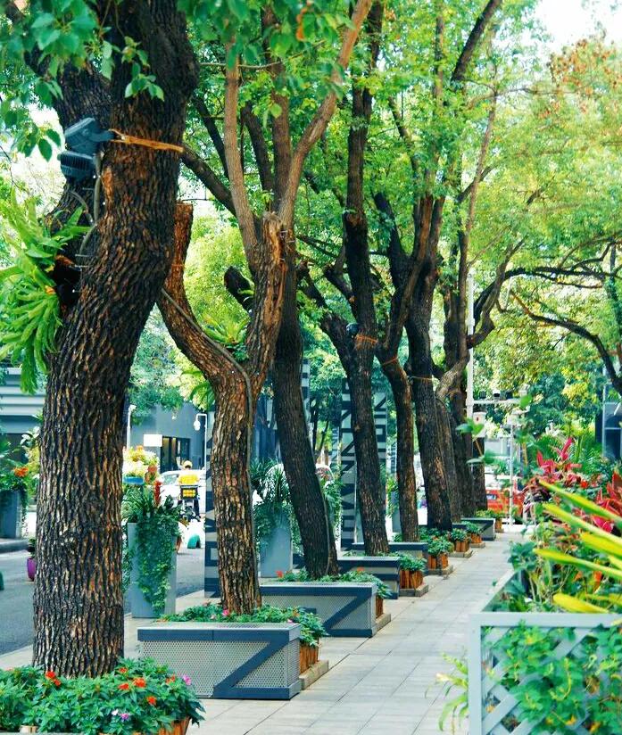 深圳7个景点好玩又免费，小众文艺，有地铁直达，却少有游客知道