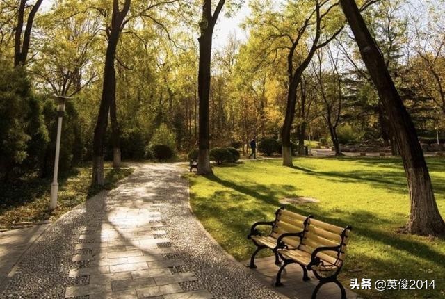 盘点中国高校“八大学院”的历史变迁