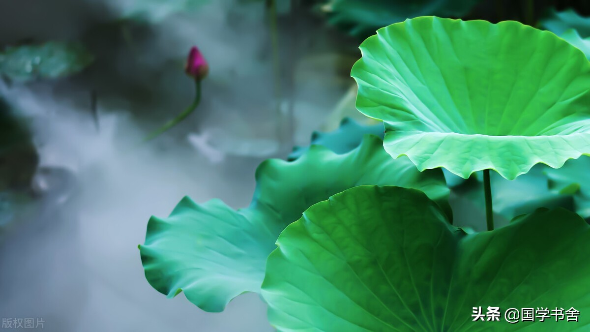 《吕氏春秋》：人生为局，德者赢之(尊赢人生)