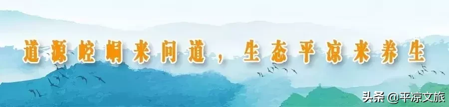 功夫小子演绎崆峒功夫
