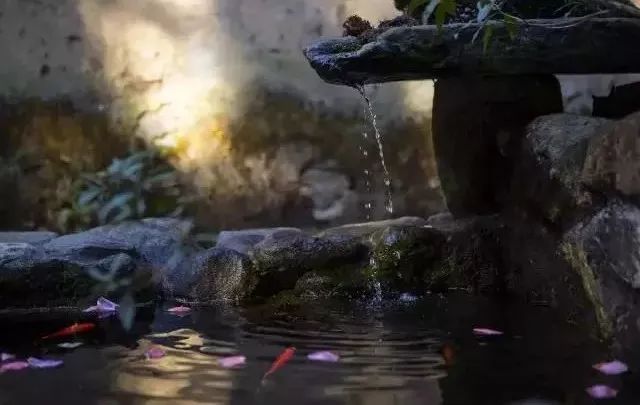中国最文艺尼姑庵，不烧香只种花，美得想出家！韩红也慕名来参访