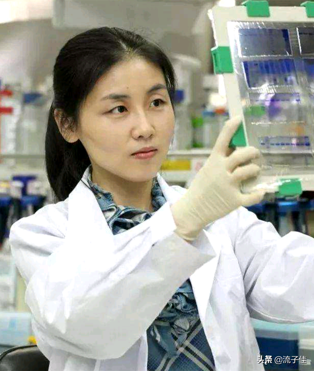 可喜可悲，北大学霸在美国当教授获世界级大奖，曾在北大任教六年