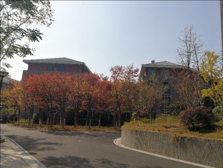 这里不仅有大树、高楼，更有大师——带你参观南京大学仙林校区