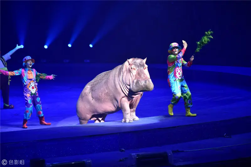 长隆欢乐世界旅游攻略景点必去（三天三夜欢乐长隆之旅）