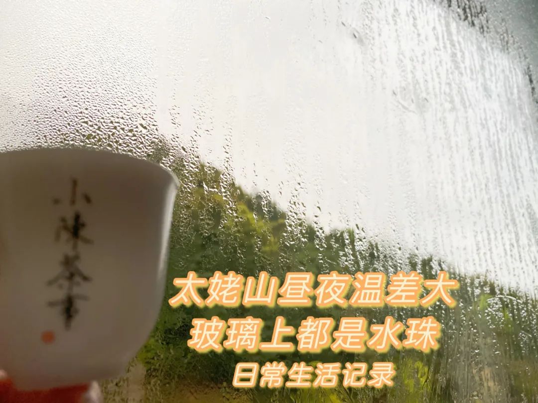 春茶季雾海茫茫，薄纱轻笼茶园，采茶人踏雾而行，恍若置身仙境。