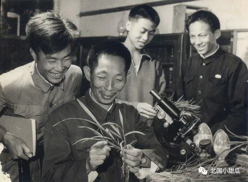 夫人坐轮椅泪别袁隆平:那个宠了她一辈子的人,永远地走了!