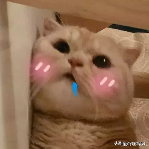 锦州渤海大学开学了！终于可以见到TA