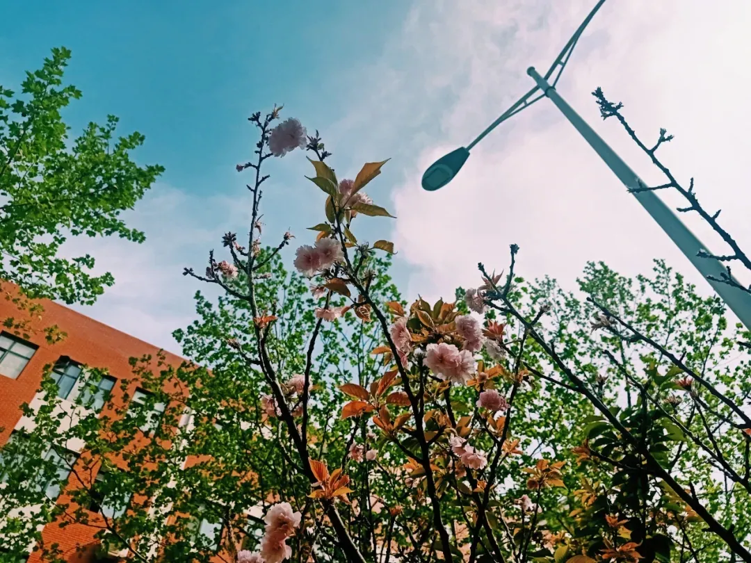 接本院校｜河北工程技术学院：超多招生，等你选择