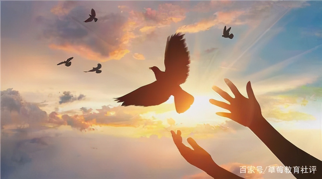 “鸡娃”都到小学校内了？上海公办学校被投诉举报