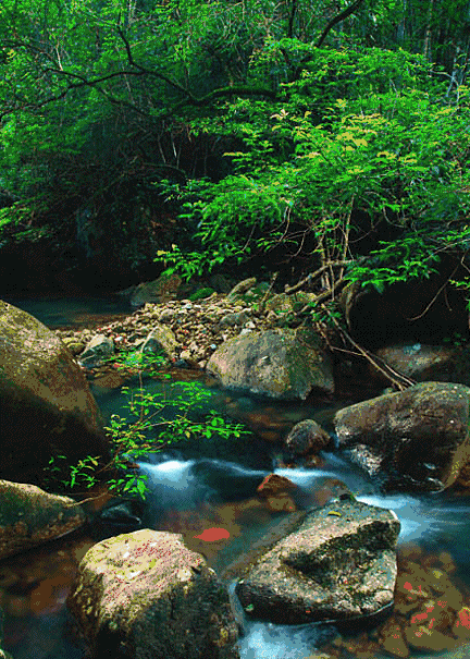 甘甜的山泉水甘甜的山泉水说说