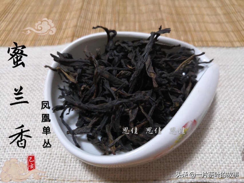 凤凰单丛茶是属于什么茶（一分钟全方位了解凤凰单丛）