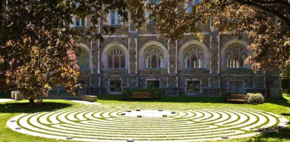 QS世界大学排名，波士顿学院432，奥克兰理工442，那天津大学呢？