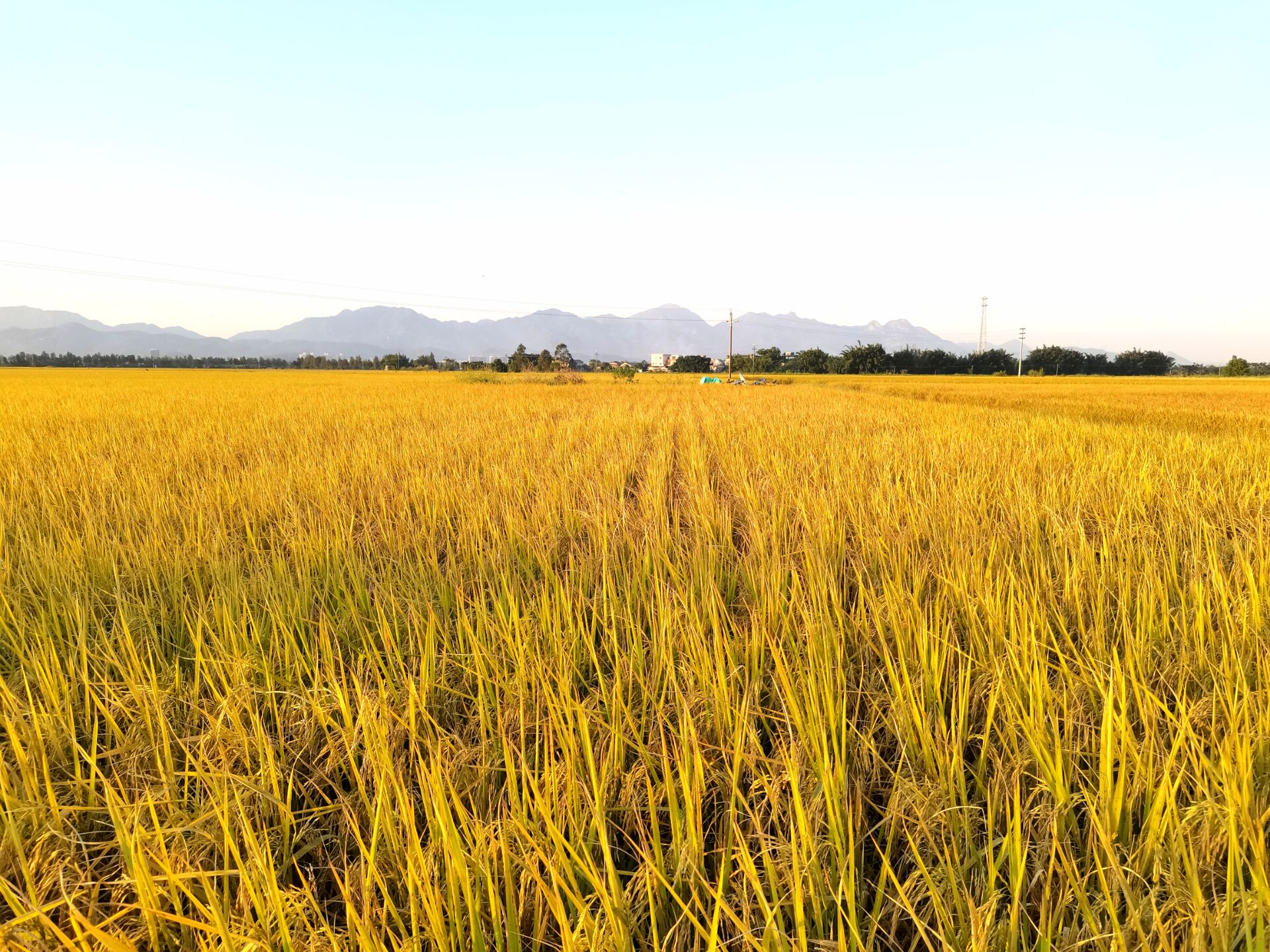 13关于景物平凡的美文 _晶羽文学网