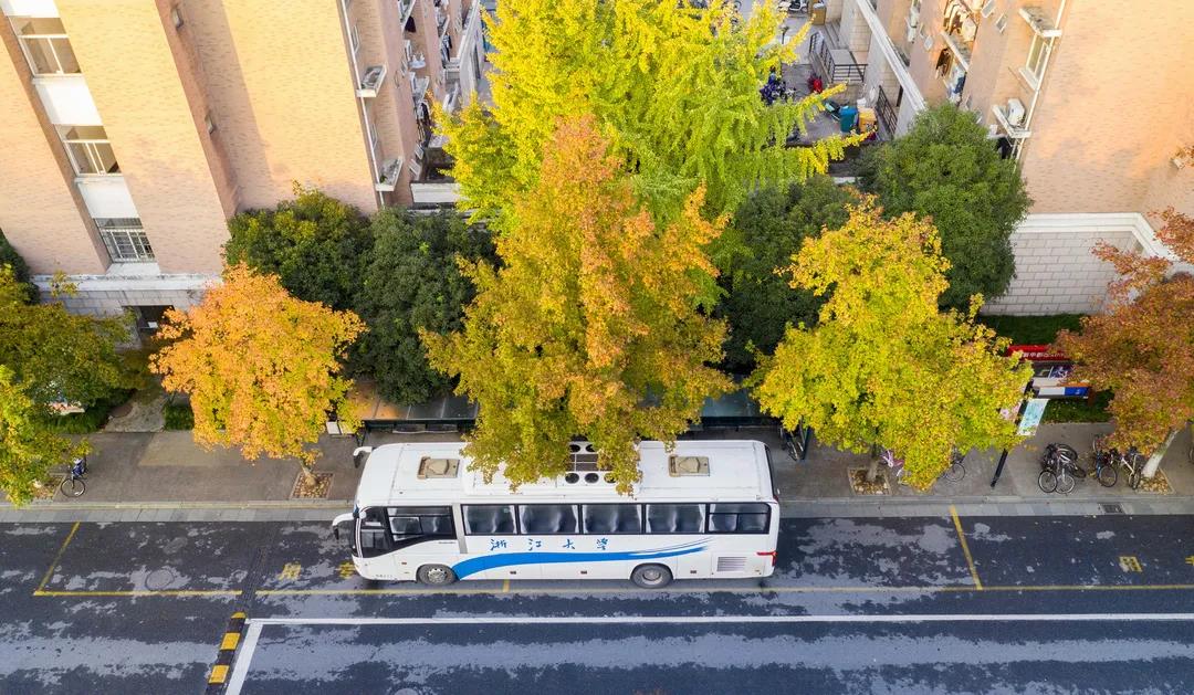 上新啦！6款浙大高颜值PPT模板送给你