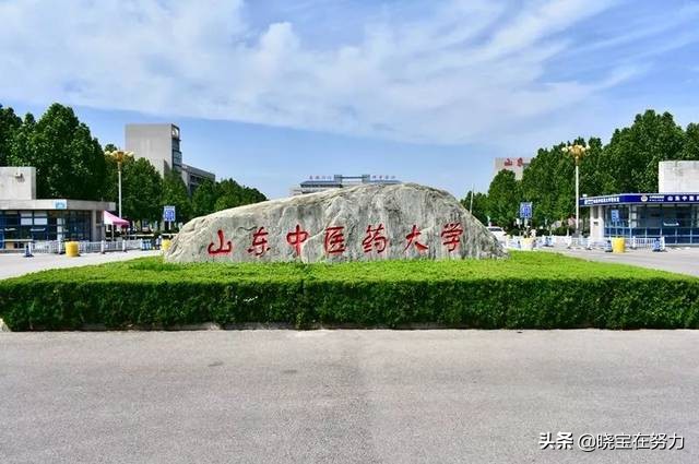 山东省济南市十大大学排行榜，请问有你的母校吗？