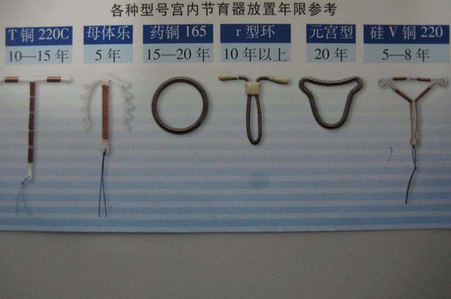 元宫环图片(三四十年后) - 赤虎壹号