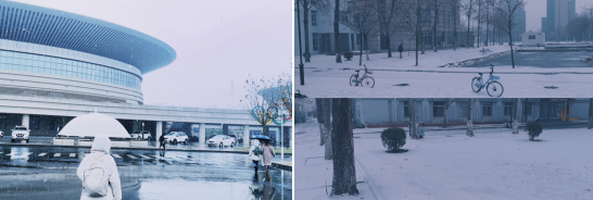 超心动！直击天津魅力高校，四季坐拥神仙颜值！网友：别人家的学校！