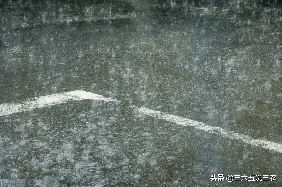 今日立冬，下大雨有什么说法？看看老祖宗留下的农谚