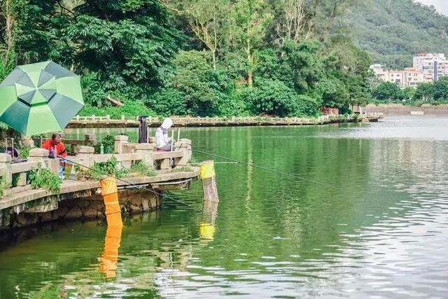 深圳十大免费特色的湖泊公园