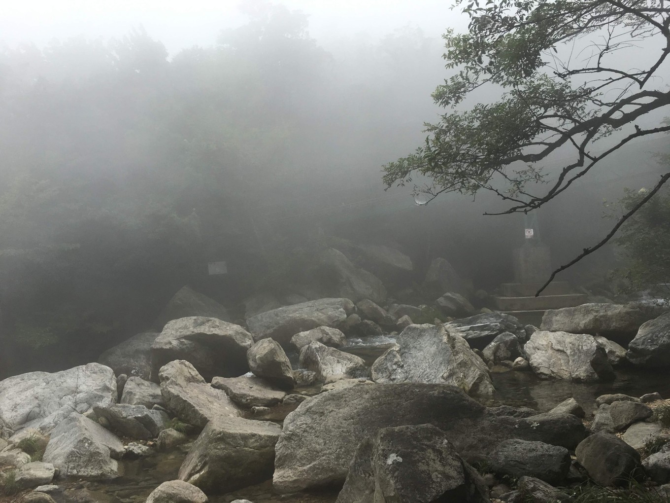 烈日+云雾，庐山东线（三叠泉）