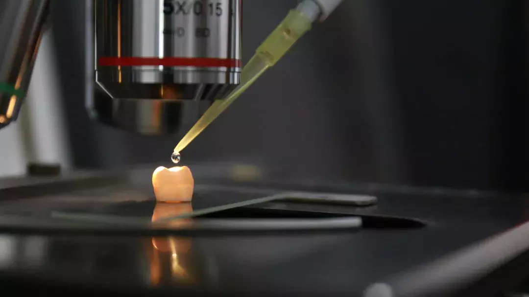 浙大最新黑科技！只要两滴药水，“补牙”不再是难事！