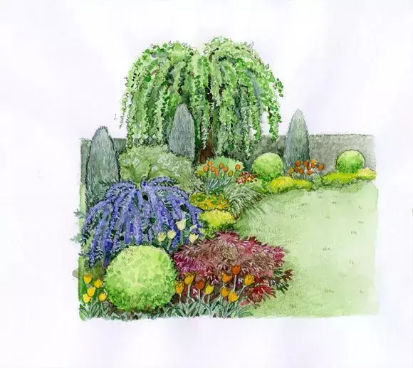 设计师在具体种植以前都会实现做出效果图,以手绘花镜图居多,小编为