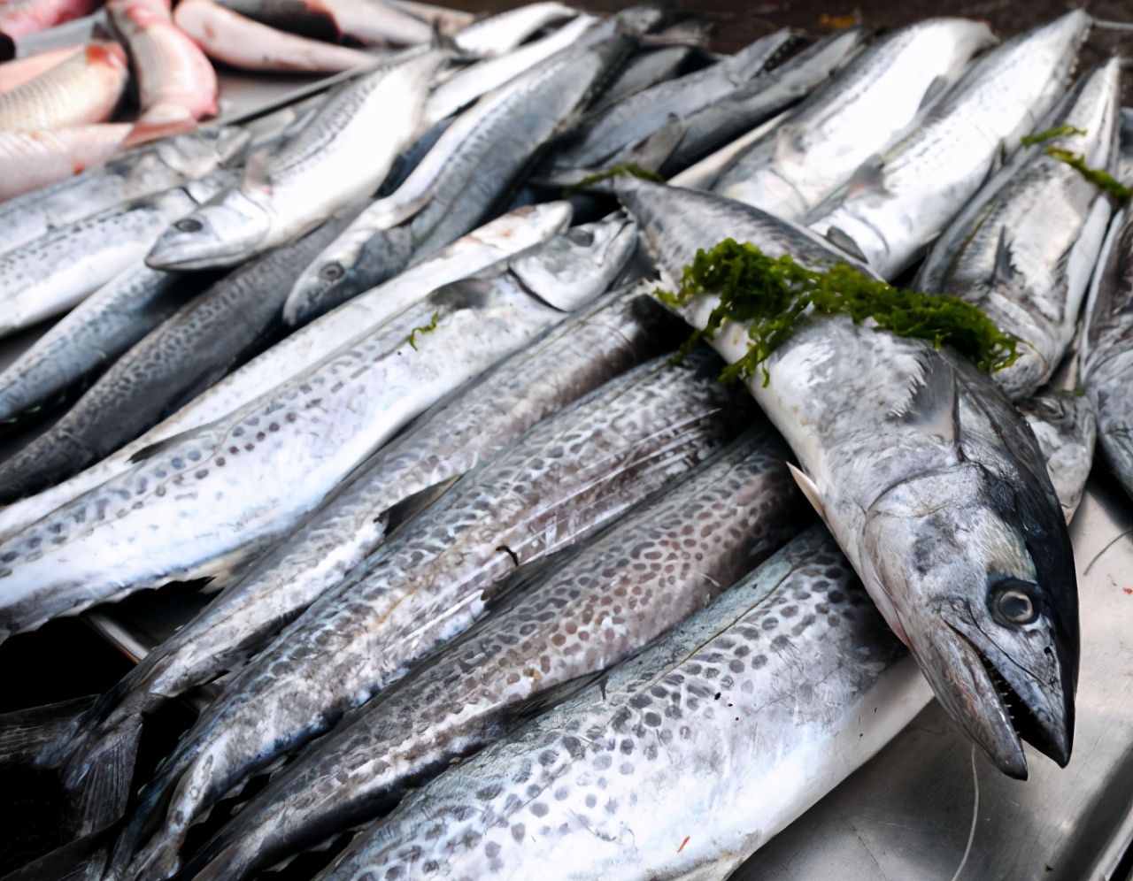 牢记这“5要点”，腌出的腊鱼经久耐放，肉质紧实香味十足