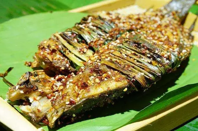 令您回味的中药——香茅