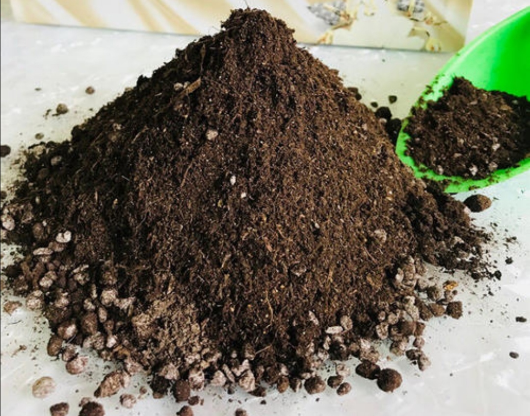 买的营养土还用掺土吗(营养土不用买，3种“废物”掺一掺，肥的流油，养花一级棒)