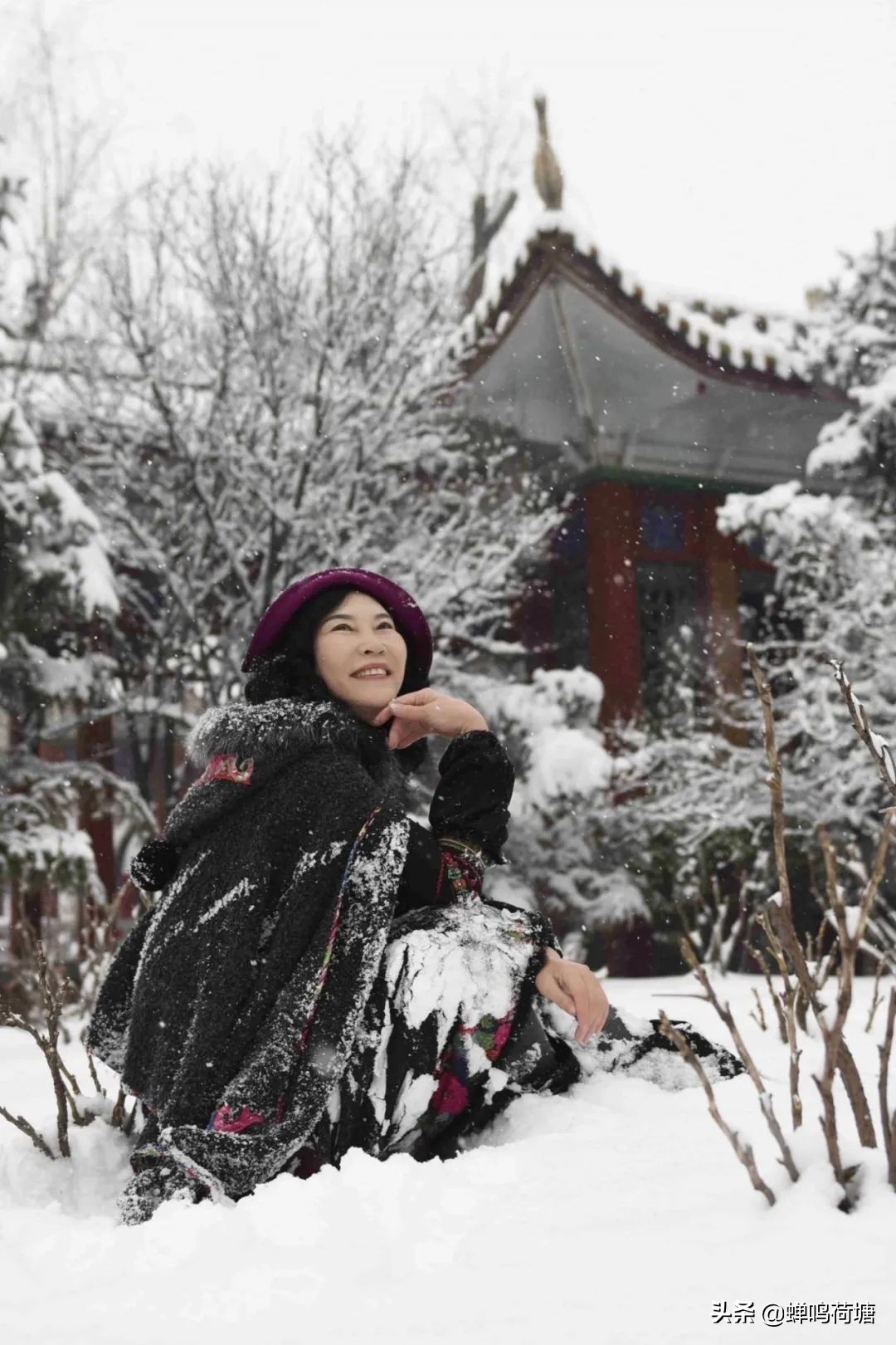 《青春》作者：董卿 朗诵：曹瑛