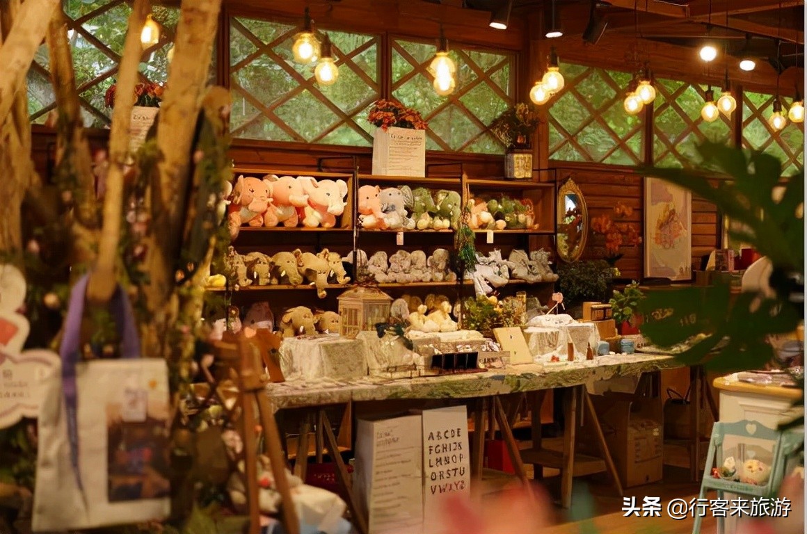 七夕，西双版纳仙女集散地——红盒子，云南旅游新思潮，拿来吧你