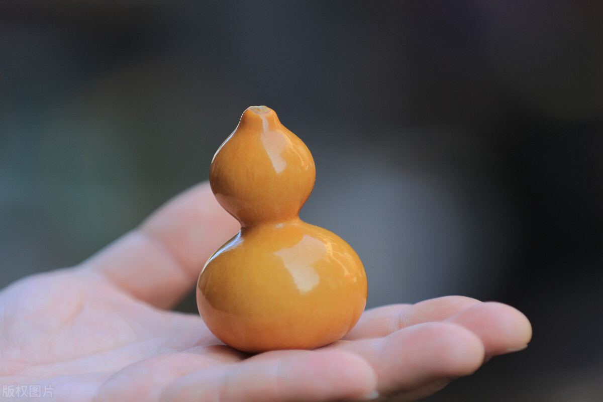 院子里有空地,就种棵葫芦吧,老祖宗留下的话,不是没有道理