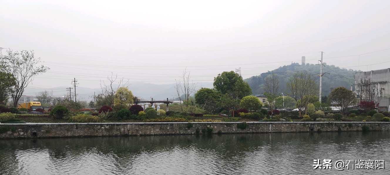 襄阳城区续建绿化项目全面复工