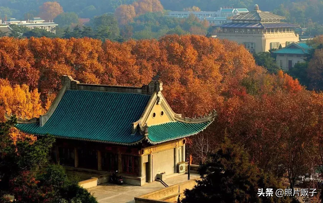 中国最美6所大学，镜头下的它们，不出意外的好看