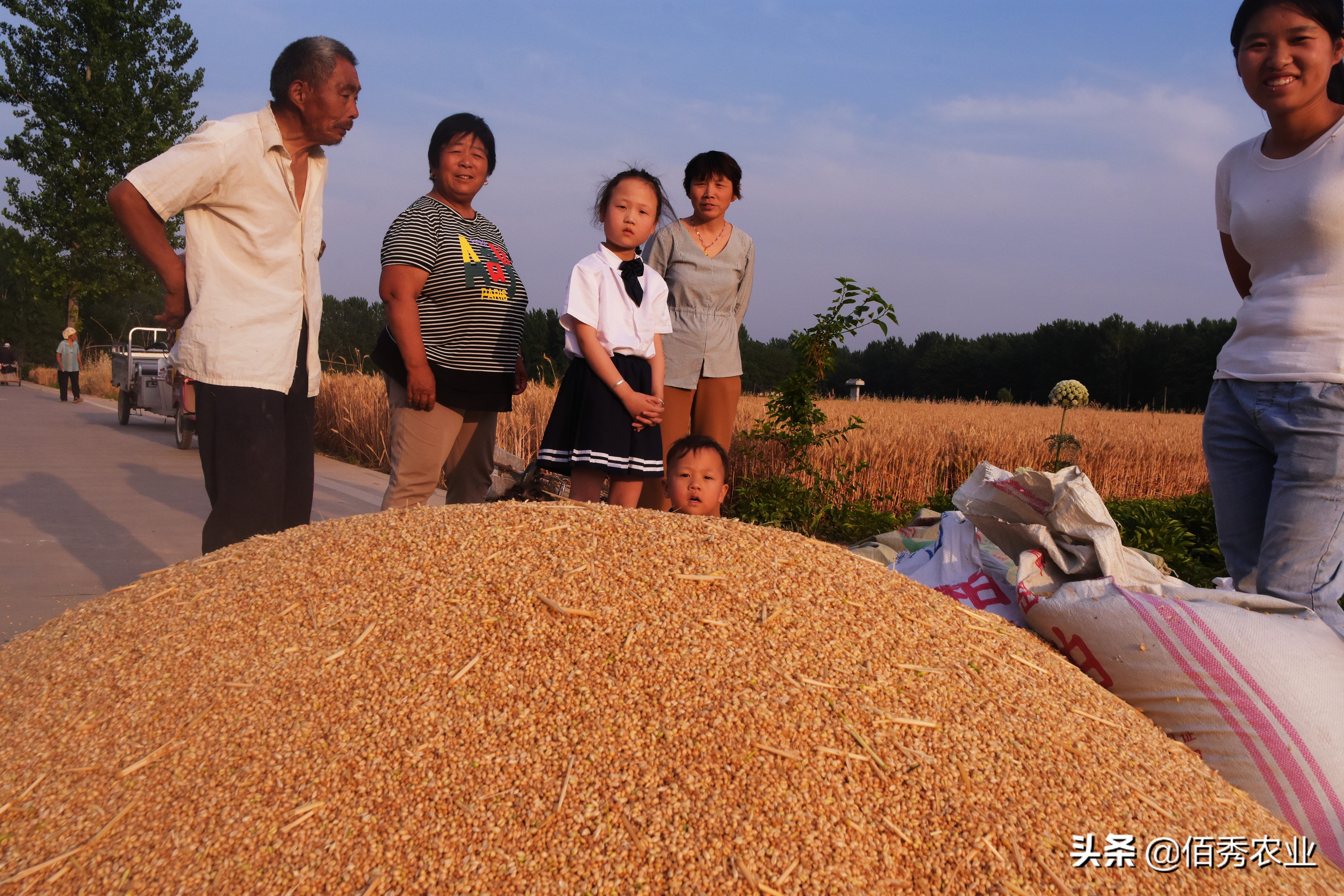 粮价上涨，农民600元一亩租地，种植小麦玉米一年能挣多少？