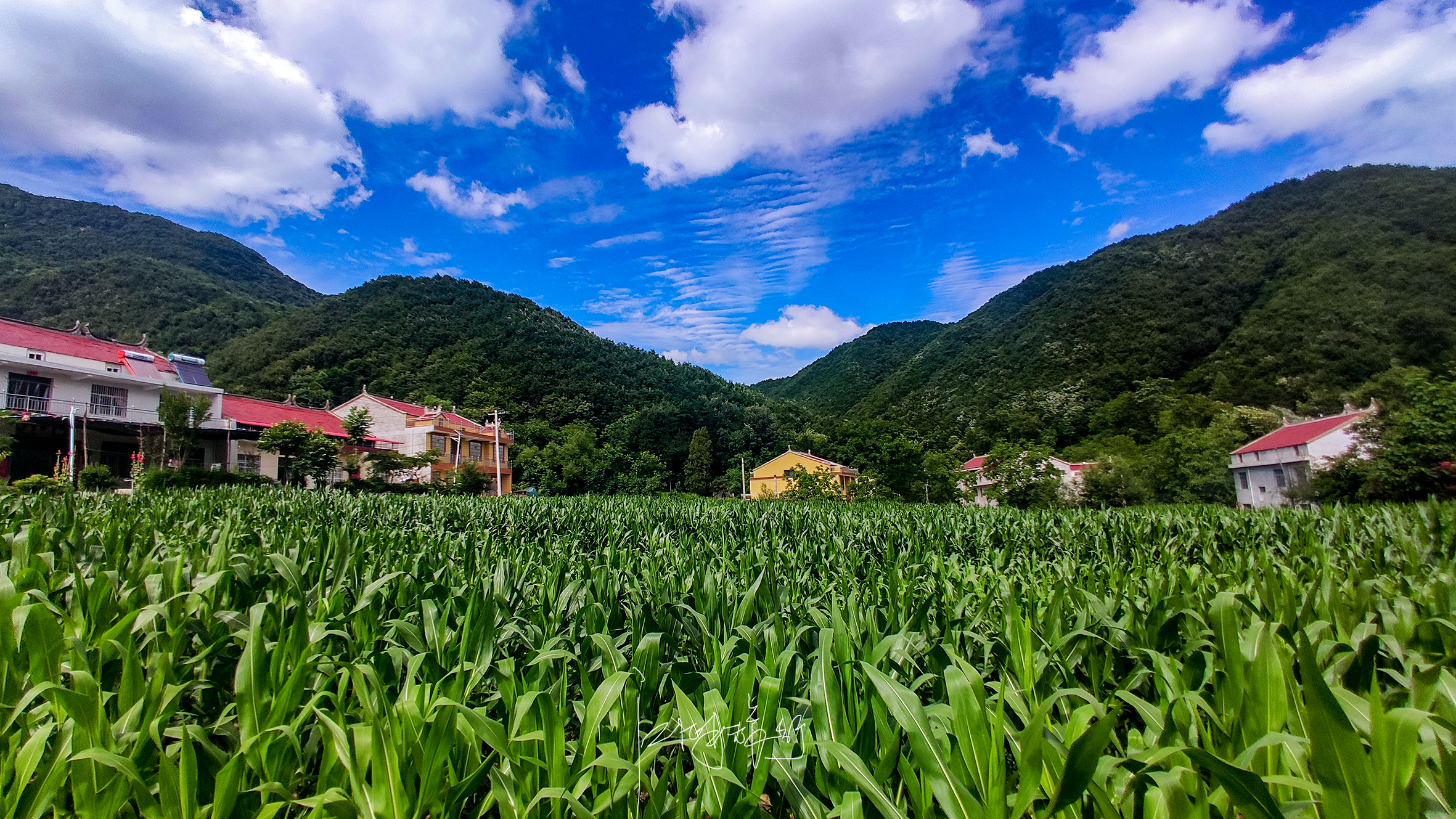 秦岭最清凉的人间秘境，一路都是美景，这才是最舒服的自驾游线路