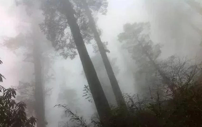 瓦屋山迷魂凼(四川瓦屋山上有个迷魂凼，人进去就出不来，专家是怎么解释的)