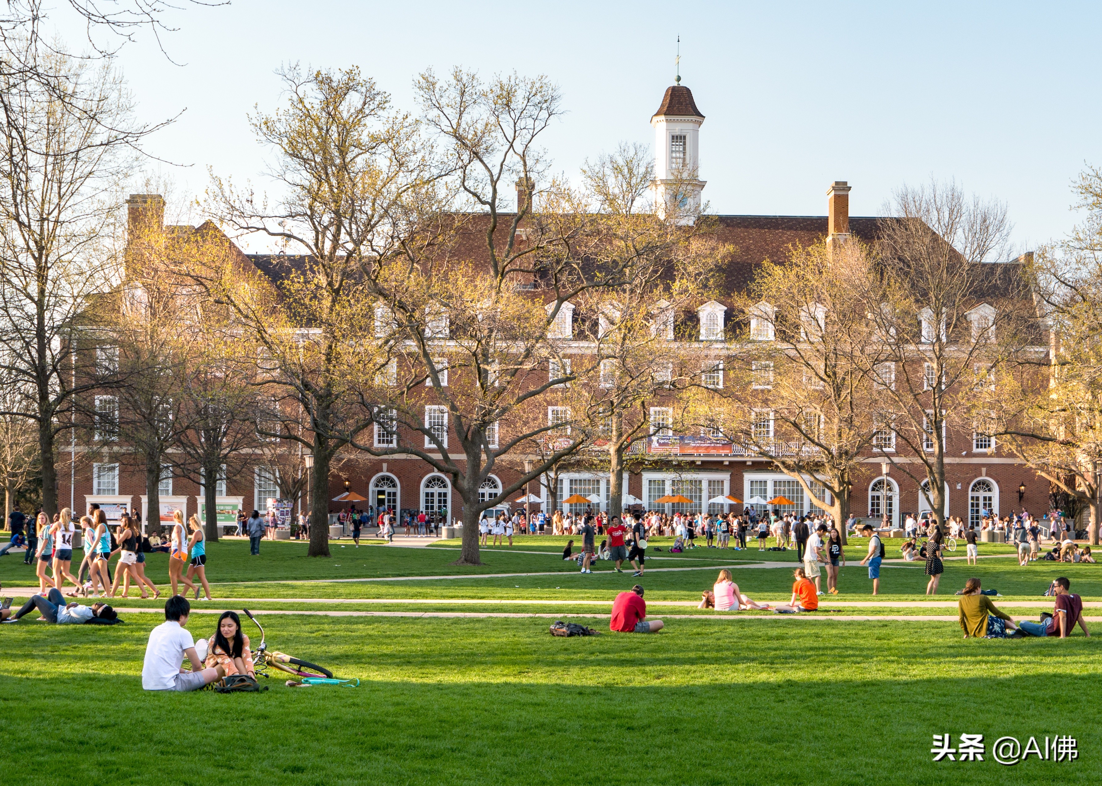 美国每个州ROI最高的公立大学