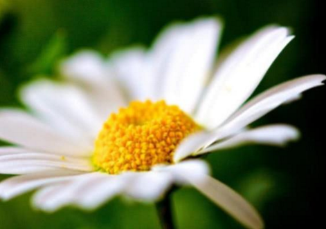 分手后，如果经过这么长时间没有任何联系，很难挽回了