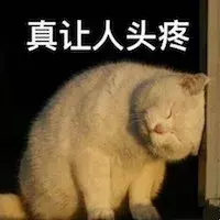 干货:怕被宠物医院坑钱?猫咪做这些检查项目有必要吗?建议收藏