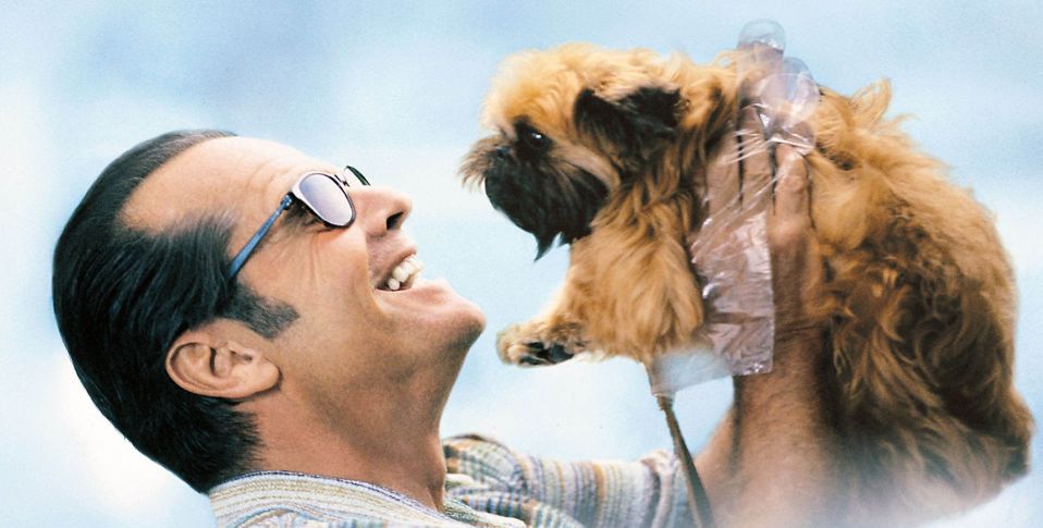 好片推荐《尽善尽美》豆瓣8.